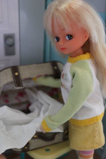 В поисках родственников маленького китайчонка Chabel, часть 2 (фото 8)