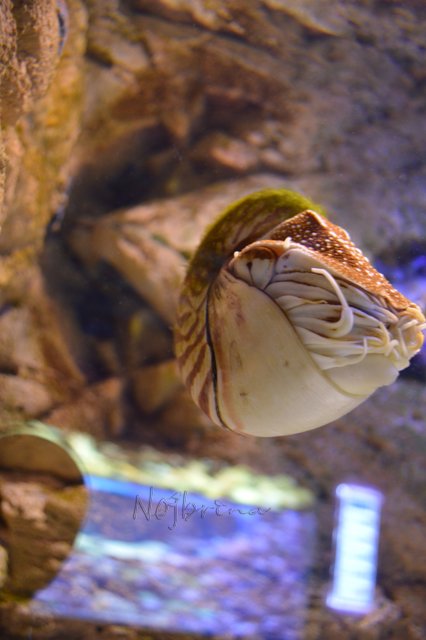 Питер - самый лучший город на земле! Вихтель Rosemarie Anna Muller