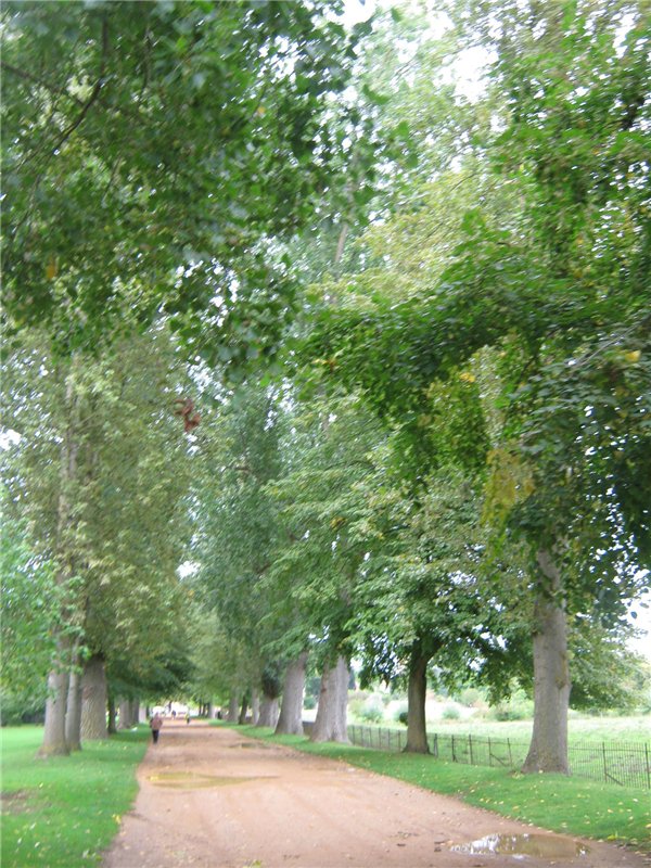 По следам Алисы и белого кролика...(продолжение )