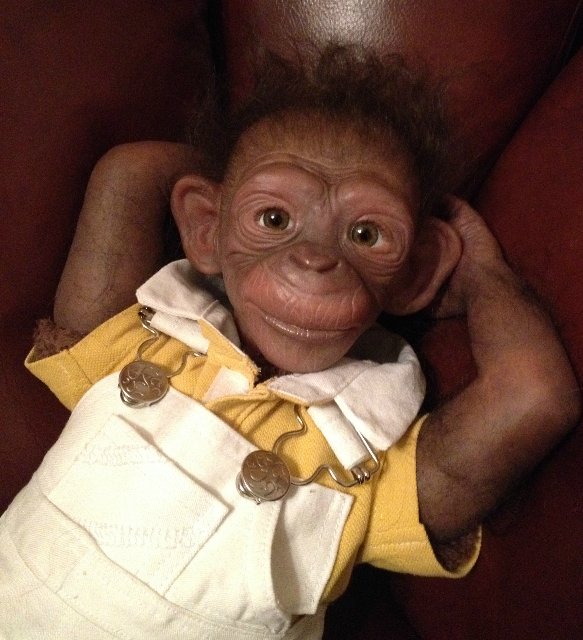 Гога, он же Гоша,он же Гора, он же Жора, здесь проживает? кукла реборн Элины Кудрявцевой