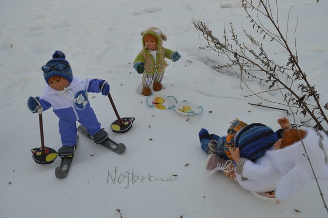 Двое в санках, не считая кота...Вихтели Rosemarie Anna Muller