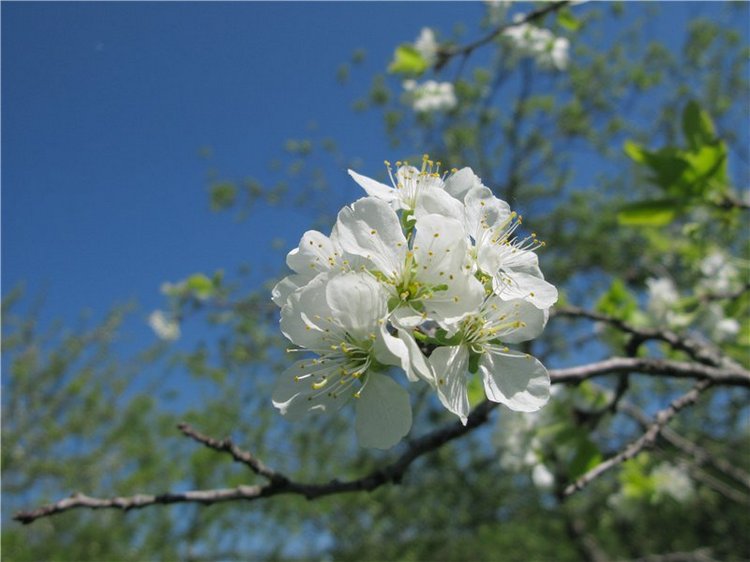 Субботний вояж. Часть первая