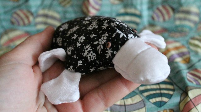 Утконосы для поднятия настроения (фото 6)