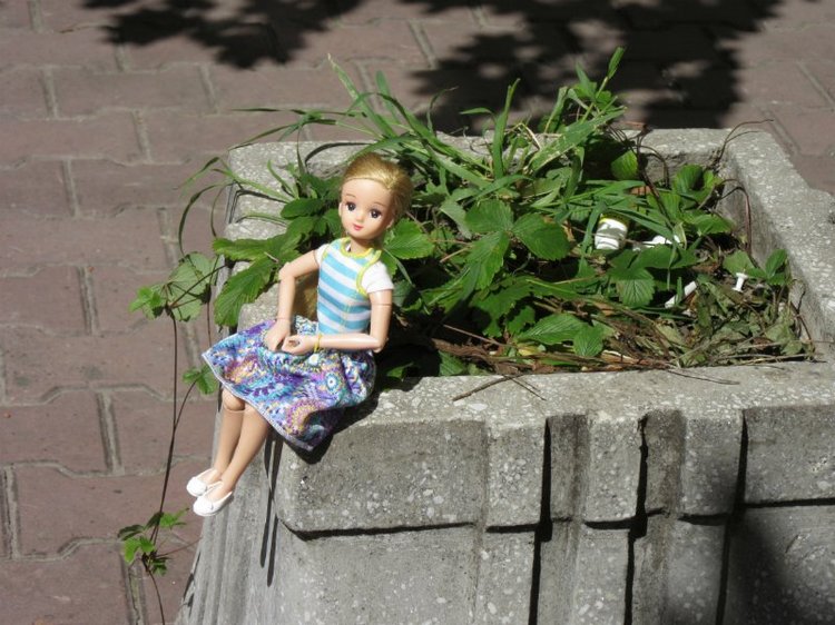 Всё я делаю с Хеленой...и диплом получаю тоже :)