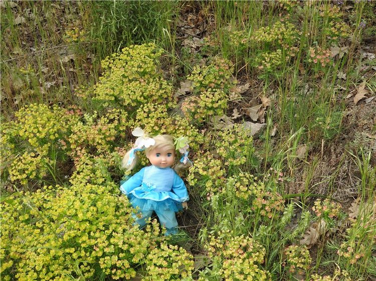 Любителям маленьких кукол