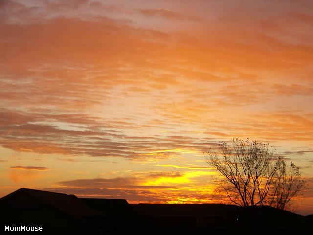 Очаровательные ангелы от Fayzah Spanos (фото 6)