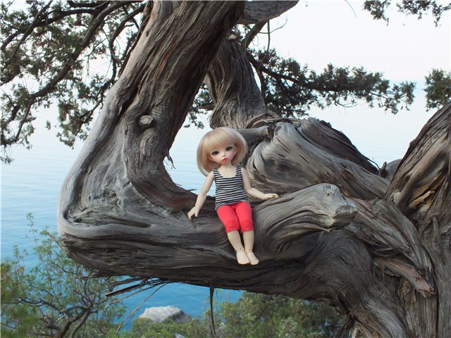 Крымские каникулы для Оливки | Бэйбики Крымские каникулы для Оливки (фото 9)