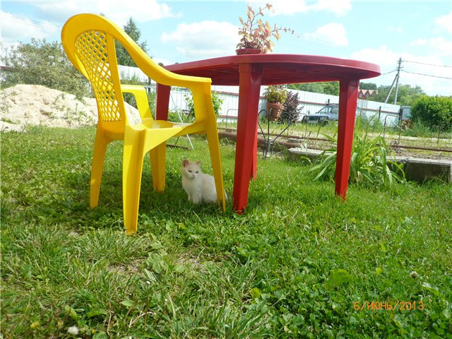 Мои позитивчики — Домашние коллекции кукол: фото собраний