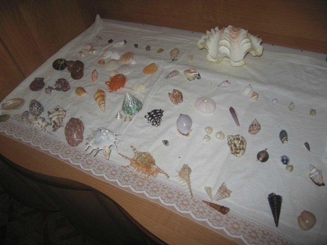 Коллекционер никогда не плюнет в колодец времени или Не покупайте с рук Рубенса, могут подсунуть Рембрандта (фото 9)