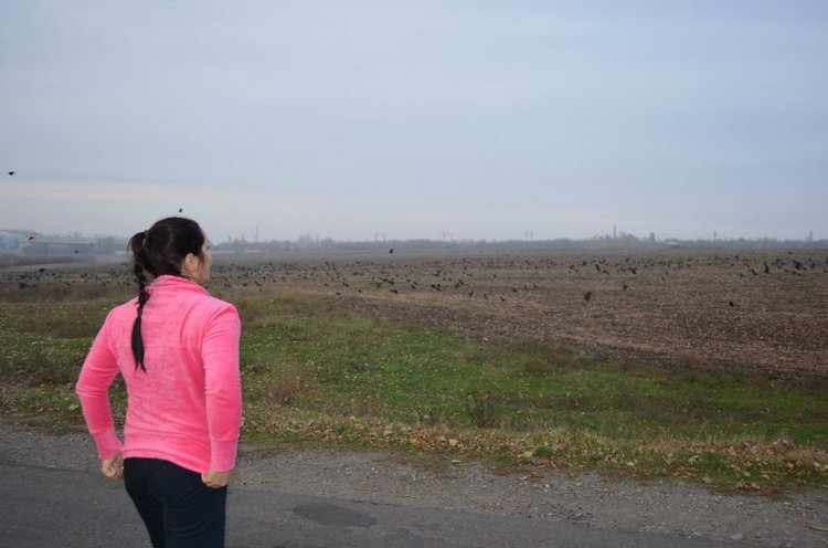 Моя поездка на выставку "VI Международный салон Модна лялька" Киев | Бэйбики Моя поездка на выставку "VI Международный салон Модна лялька" Киев