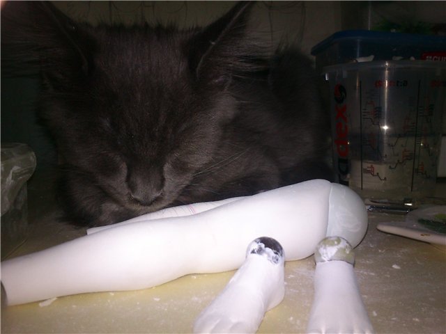 Детская мечта. Авторская кукла Elena Tkachenko(Cova stydio) (фото 2)