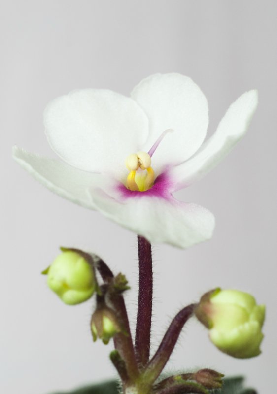 Еще немного о сумасшествии