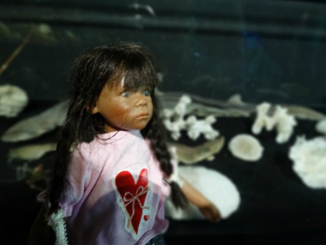 Ещё немного о путешествии малышек - Химочек (фото 2)