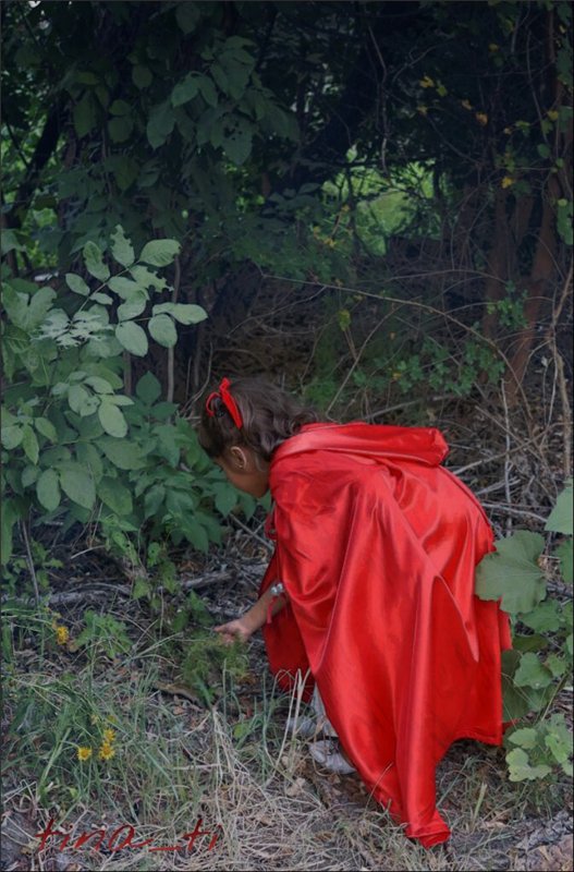 Кукла и ее девочка...Little red riding hood. Часть вторая (лесная) (фото 5)