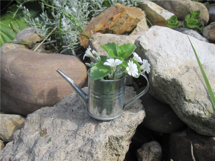 Галчонок и лето. Винтажна куколка СССР Галя (фото 5)