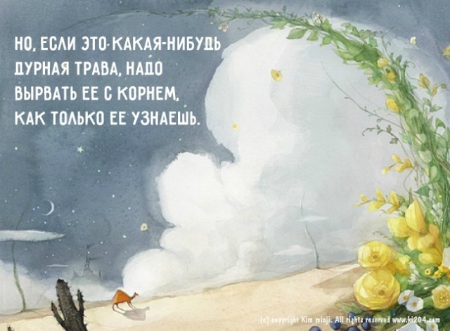 Маленький принц. Книги, которые остаются с нами на всю жизнь (фото 10)