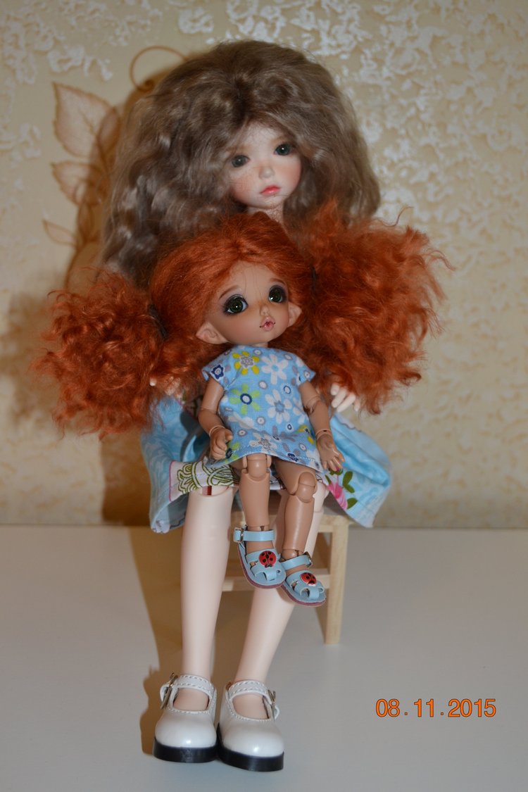 Такие чудные ПукиФи - наш новый член семьи