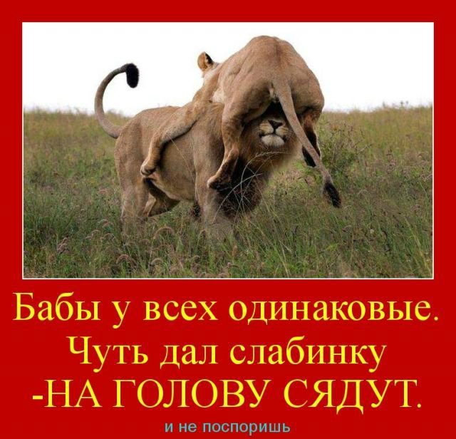 Подкаблучники всех стран, соединяйтесь!!! Высокие, высокие отношения или Муля, не нервируй меня. Предпраздничная болталка