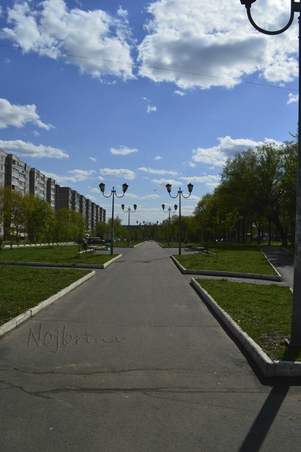 Яркие краски. Вихтели Rosemarie Anna Muller