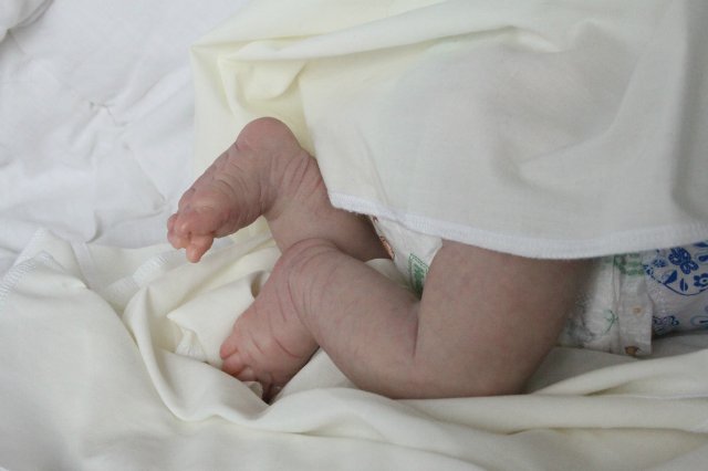 Филипка, кукла реборн Элины Кудрявцевой (фото 5)