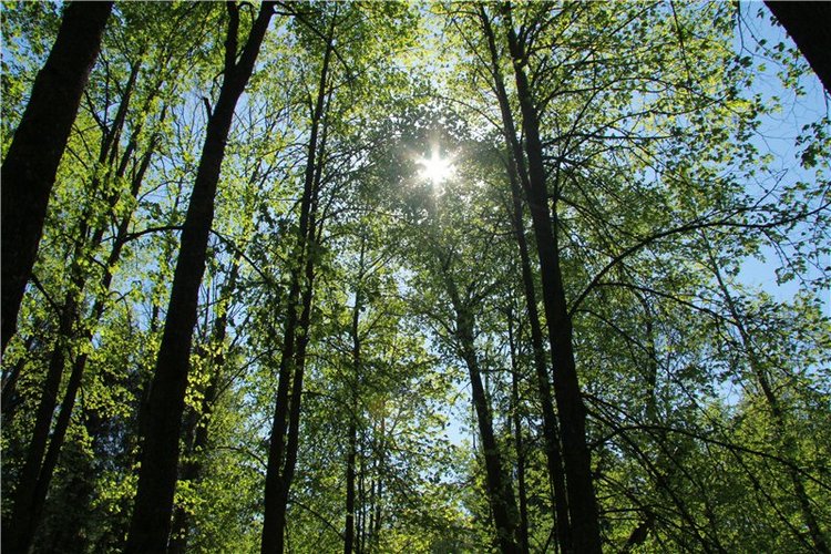 Субботний вояж. Часть вторая | Бэйбики Субботний вояж. Часть вторая