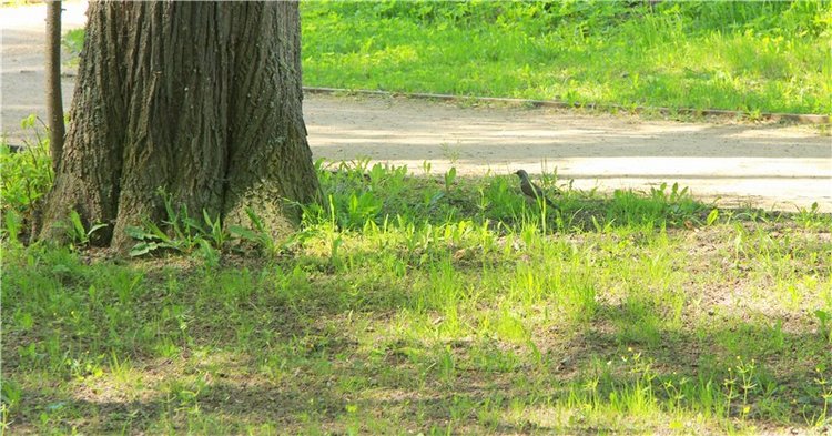 Субботний вояж. Часть вторая | Бэйбики Субботний вояж. Часть вторая (фото 8)