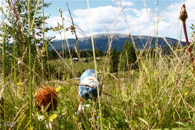 Кинко и Ринри: привет из Буковели! Nano Haruka & Pure Neemo Azone XS white, OOAK by Tocho, outfit by Yumiko Mikoto