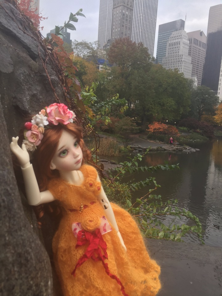 Луна гуляет в Центральном Парке в Манхаттане