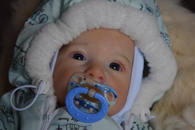 Еще одна Саксия... Еще один пацанчик