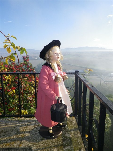 Куклы тоже любят путешествовать (фото 4)