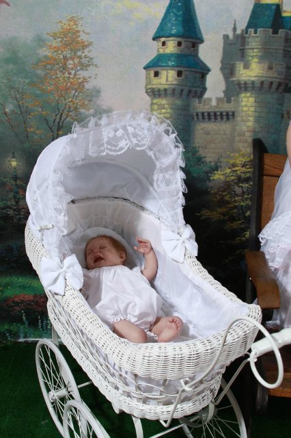 Мои куклы реборн в декорациях