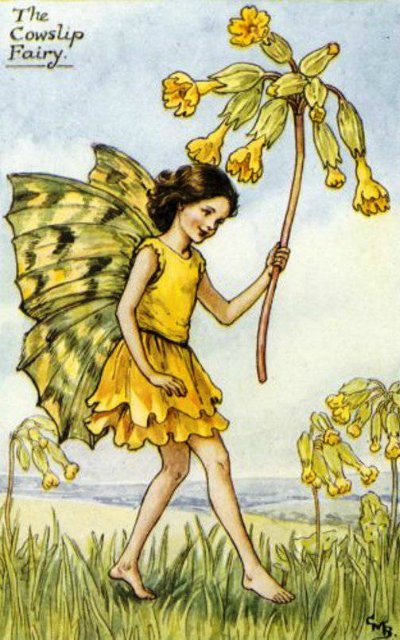 Долгая жизнь цветочных фей от иллюстраций Cicely Mary Barker до кукол Birgitte Frigast (фото 9)