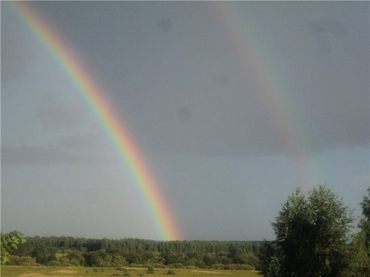 Ждем лета и верим в чудо! Куклы Готц и наряды