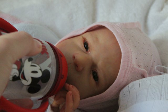 Ангелочки малыши... Куколки реборн Вишни Виктории