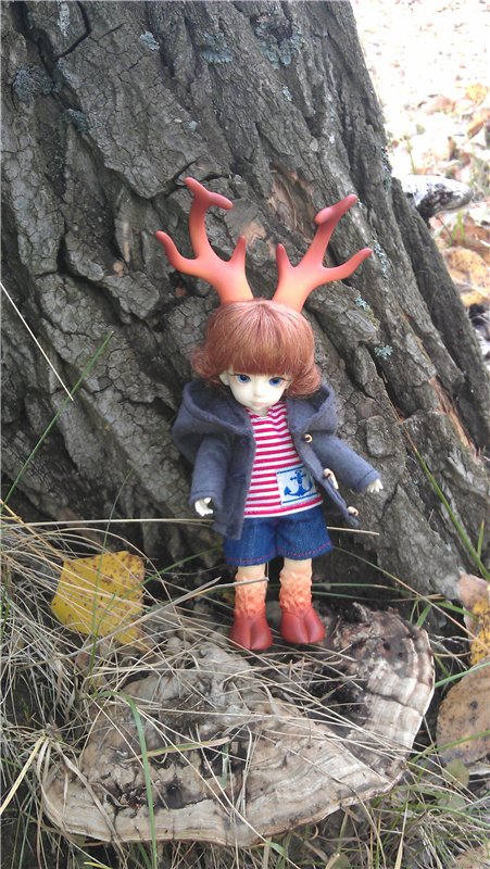 День нашего Дейви — Куклы Dollzone (Доллзон): BJD (БЖД) (фото 6)