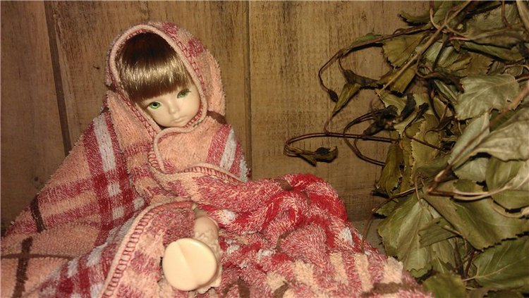 Немного лета в холода — Куклы Dollzone (Доллзон): BJD (БЖД)