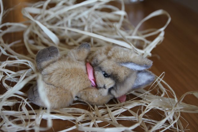 Зайка тедди Донни — Авторские мишки Тедди и друзья: фото (фото 3)