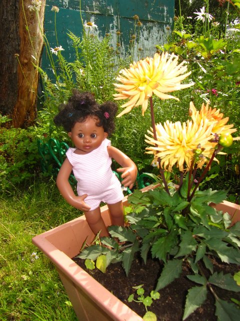 Мишельки на даче. Куклы Rosemarie Anna Muller