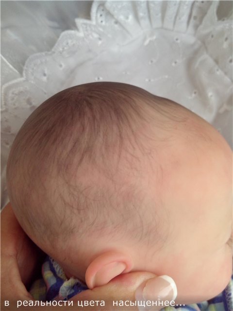 Куклы реборн Твин В и Жулиус (Твикс), дополнение