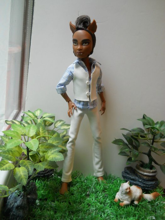 Monster High. Неканоническая история любви