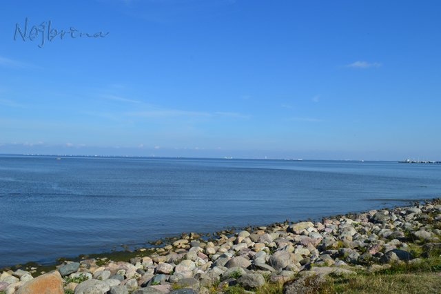 Питер - самый лучший город на земле! Вихтель Rosemarie Anna Muller