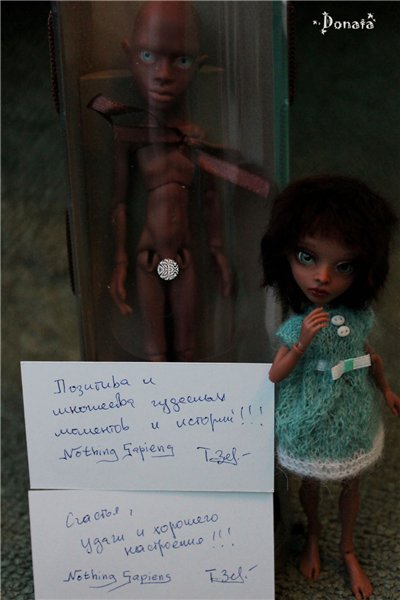 Амигатомания набирает обороты (фото 2)