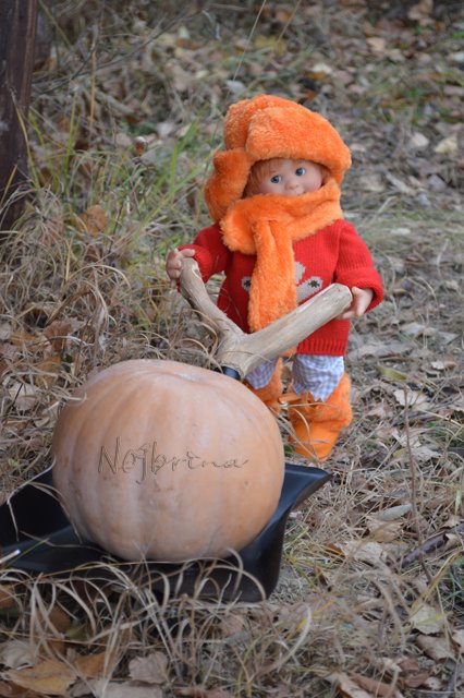 Неугомонные. Вихтели Rosemarie Anna Muller (фото 9)