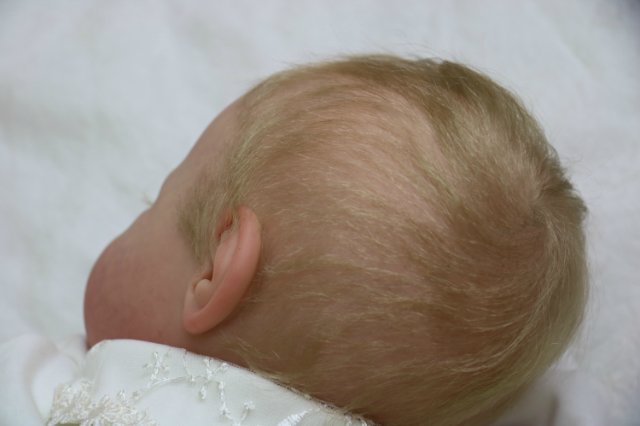 Ноашечка. Куколка реборн Виктории Вишни