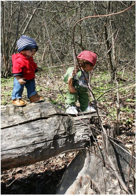 Небольшой поход Вихтелят на Ирдынские болота