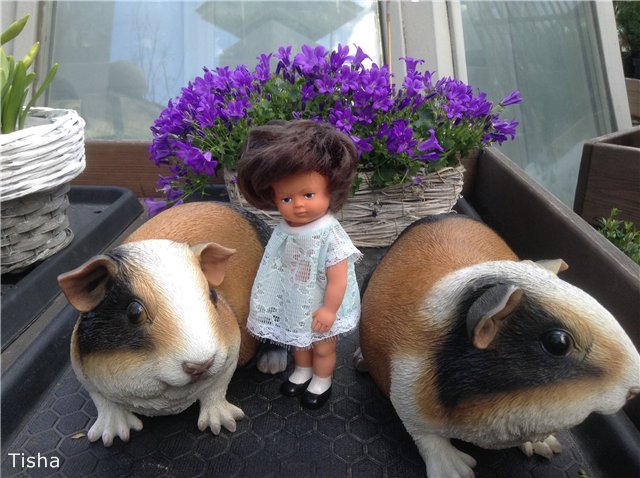 Маленькие садовники или весна в Аптекарском огороде (фото 5)