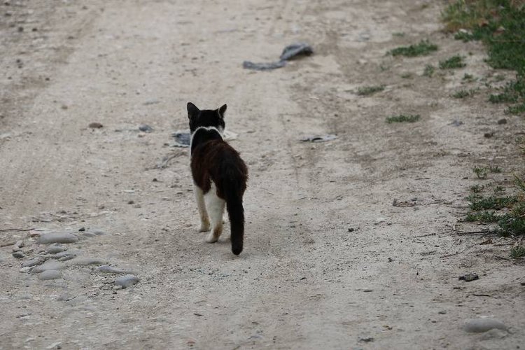 Те, кто нас любит и в домашнем халате, и без косметики, и растрепанными | Бэйбики Те, кто нас любит и в домашнем халате, и без косметики, и растрепанными