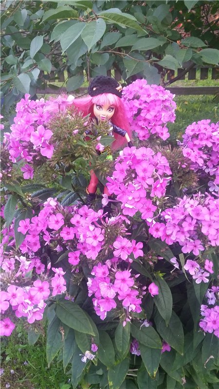 В гостях у бабушки ))) или яркое лето 2016 с девочками от Монстр Хай | Бэйбики В гостях у бабушки ))) или яркое лето 2016 с девочками от Монстр Хай (фото 10)