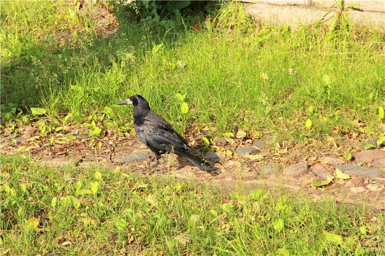 Русская Атлантида, заключительная часть. Калязин, Тверская область