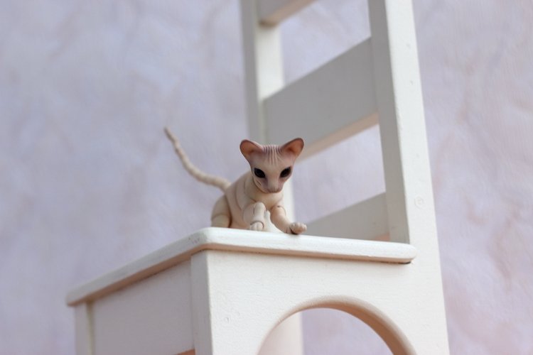 Кот играет с мячиком — Разные куклы BJD (БЖД): редкие бренды